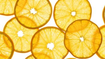 Bordas, presentes en Vitafoods 2024