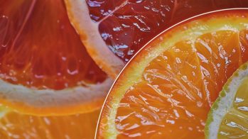 Flavonoides como conservantes naturales: Beneficios y aplicaciones