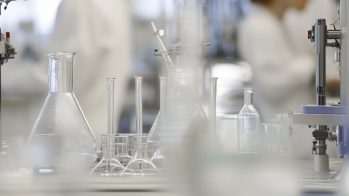 Innovación en productos nutracéuticos: desarrollo y mejora continua en flavonoides cítricos