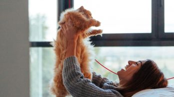 Soluciones naturales para el cuidado y el bienestar de las mascotas