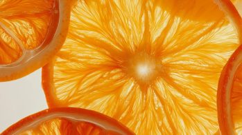 Fragancias Cítricas: La ciencia de la frescura y la innovación en Bordas